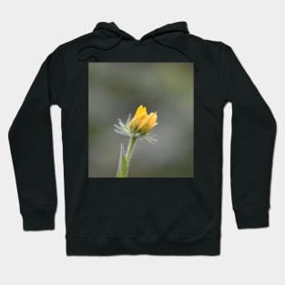 Blooming Hoodie